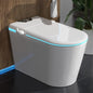 Wansid Nordic Smart Toilet With Bidet Auto Open Lid